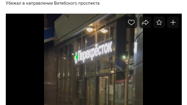 Крупный заяц в Петербурге отчаянно пытался прорваться внутрь ТРК у станции метро «Звездная»
