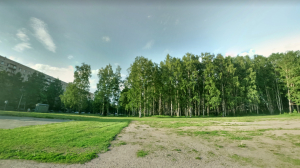 В Петербурге задержали мужчину, заколовшего насмерть во время скандинавской ходьбы в Пискаревском парке пенсионерку