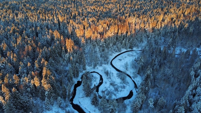 За сутки дорожники Ленобласти очистили от снега почти 15 тысяч километров региональных трасс