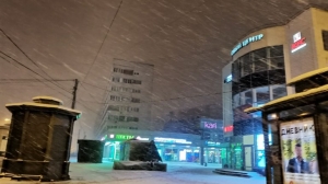 Усиление ветра принесет в Петербург метель 10 января