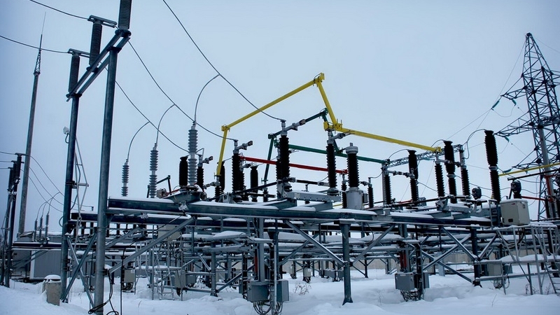 Жителям Ленобласти рассказали, как энергетики компании «ЛОЭСК» борются с природными аномалиями