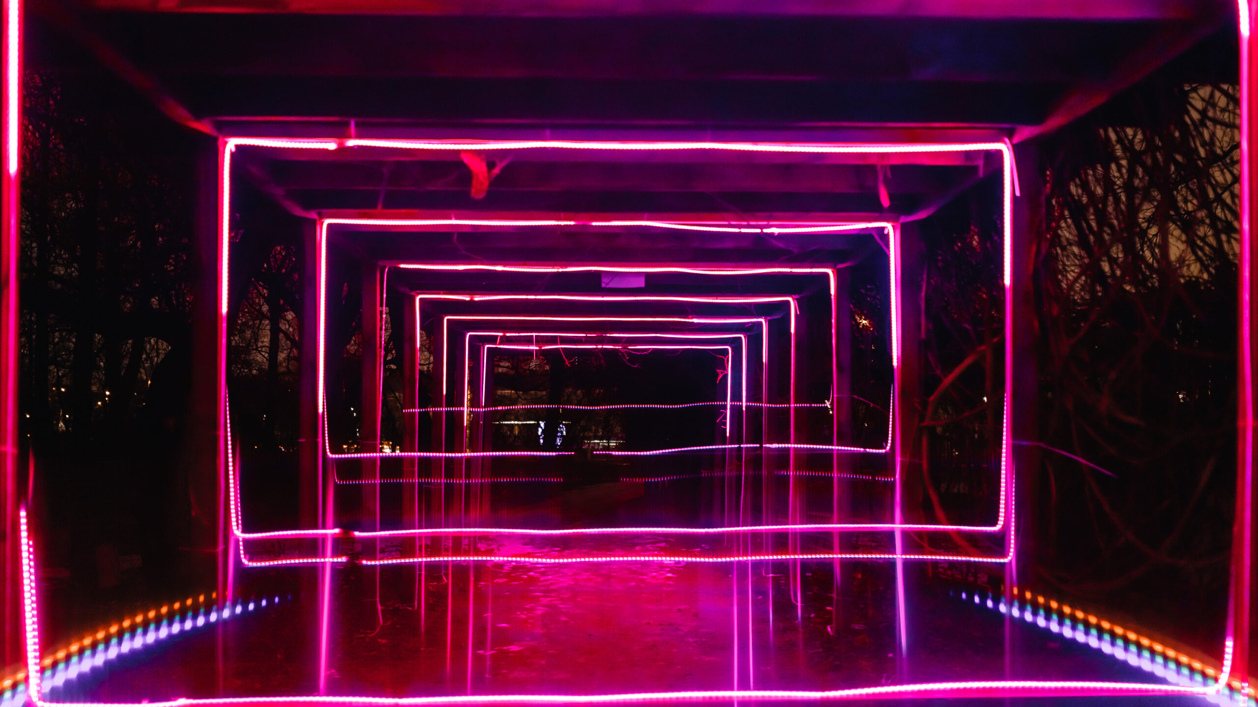 В Петербурге вновь откроется «Сад света»