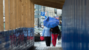 Синоптик Колесов предупредил петербуржцев о похолодании и дождях в конце недели