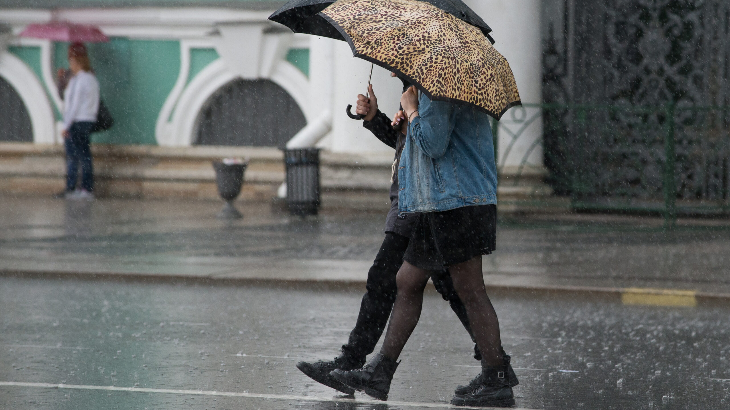 Холод и каждодневные дожди: синоптик подвел погодные итоги первой декады июля в Петербурге