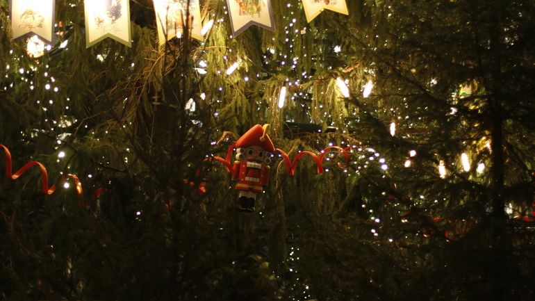 В Мариуполе установили новогоднюю елку из Петербурга высотой 20 м