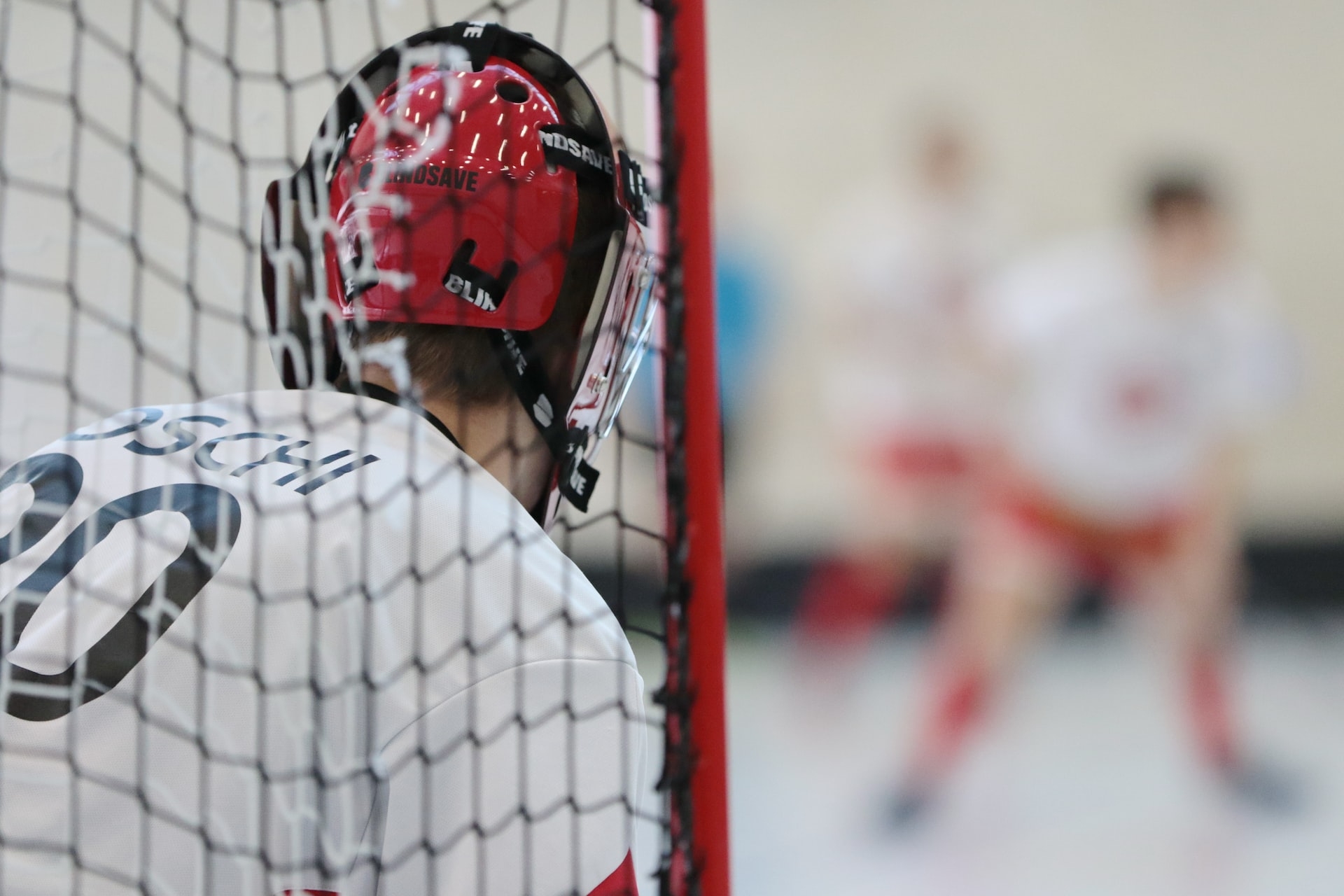 NHL 09 Goalie Mask