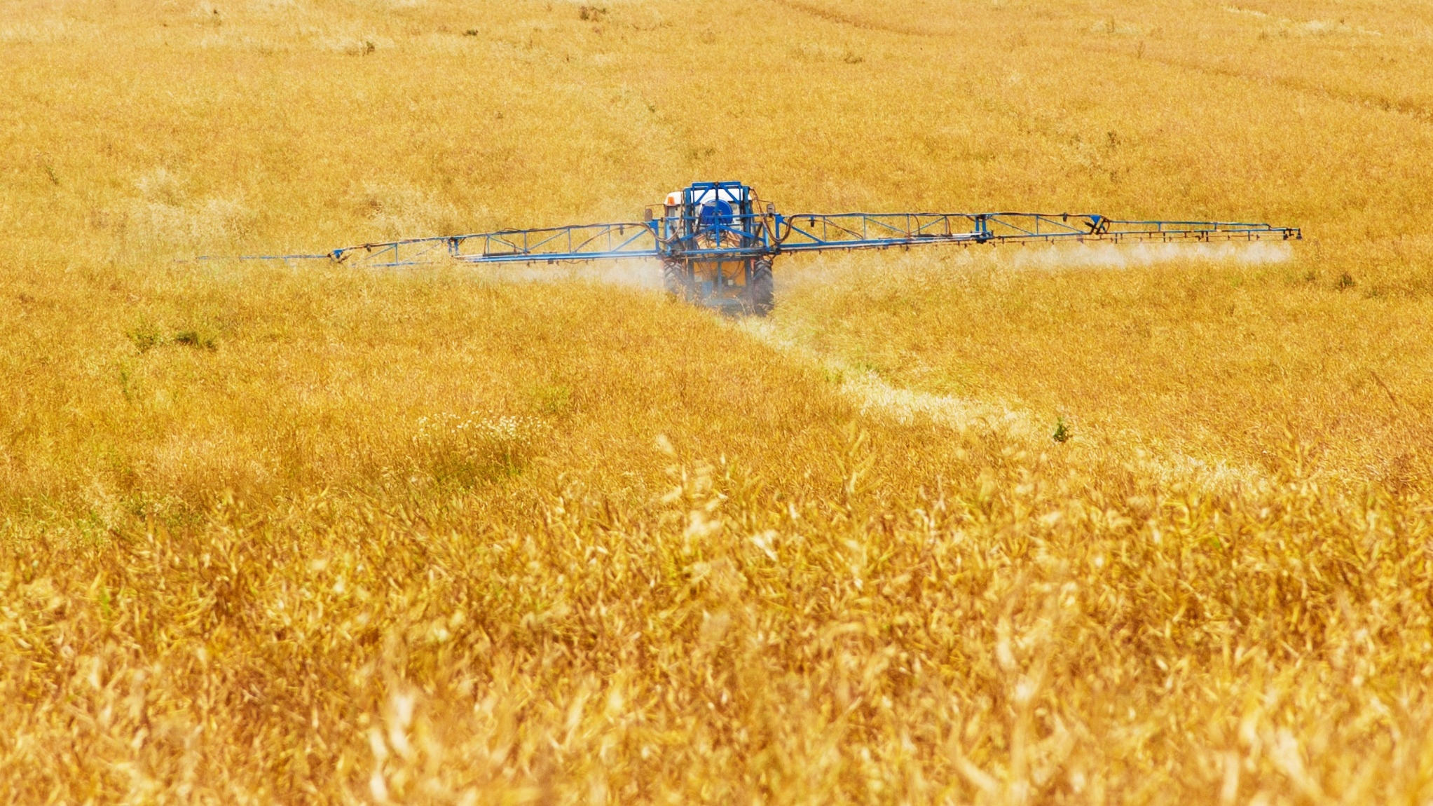 В Ленобласти зафиксировали рост спроса на специалистов сельскохозяйственной отрасли