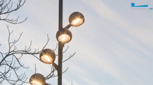 Дорожки Южно-Приморского парка теперь освещают более 400 современных фонарей