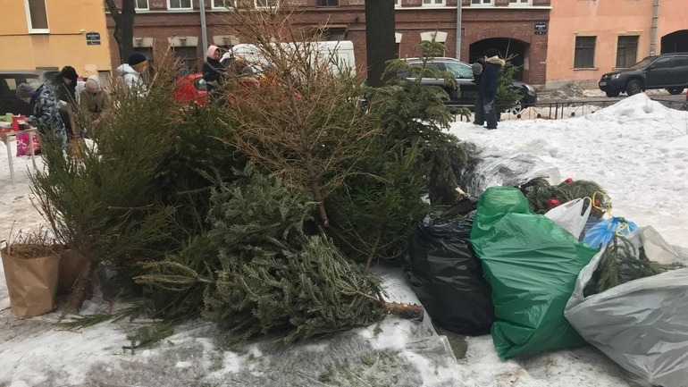 Петербуржцы до 31 января могут подарить новогодней елке вторую жизнь