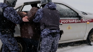 Петербургские росгвардейцы задержали нетрезвого водителя иномарки, сбившего двух пешеходов