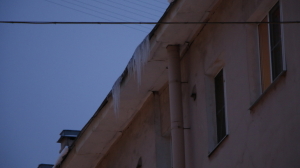 Известная жертва петербургских зимних крыш Милана Каштанова ушла из жизни в январе