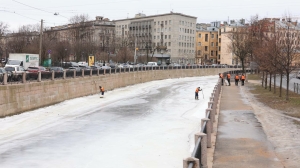 Петербуржцы заметили нарушителей запрета выходить на лед