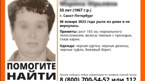 В Петербурге уже две недели ищут пропавшую без вести в канун Рождества 55-летнюю учительницу