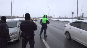 В Московском районе искали нелегальных водителей-мигрантов