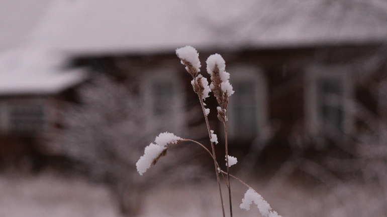 В первый выходной день зимы в Петербурге ожидается небольшой снег и температура ниже нормы