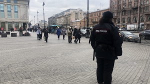 В Петербурге число уличных преступлений за 2022 год снизилось на 31%