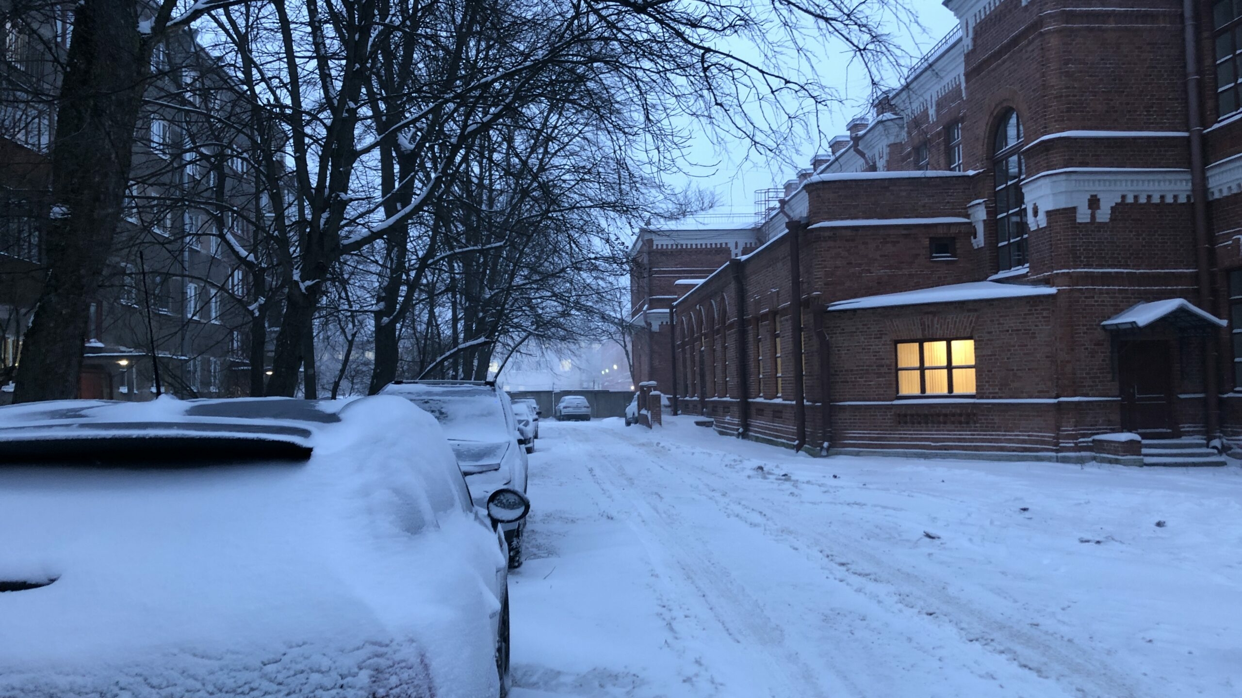 Февраль восстановил снежный покров в Петербурге