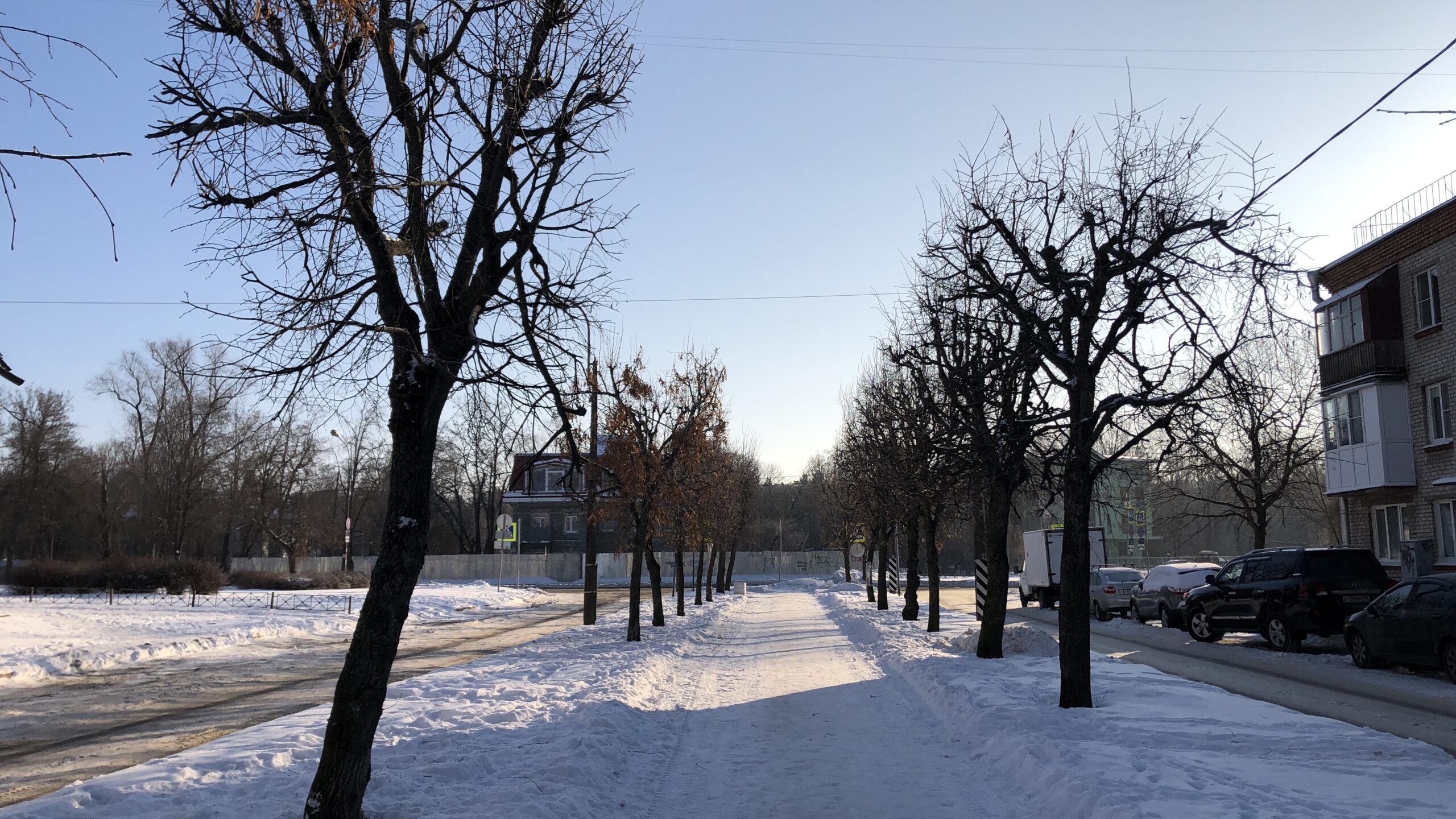 Петербуржцам солнце в 2023 году светило чаще, чем москвичам