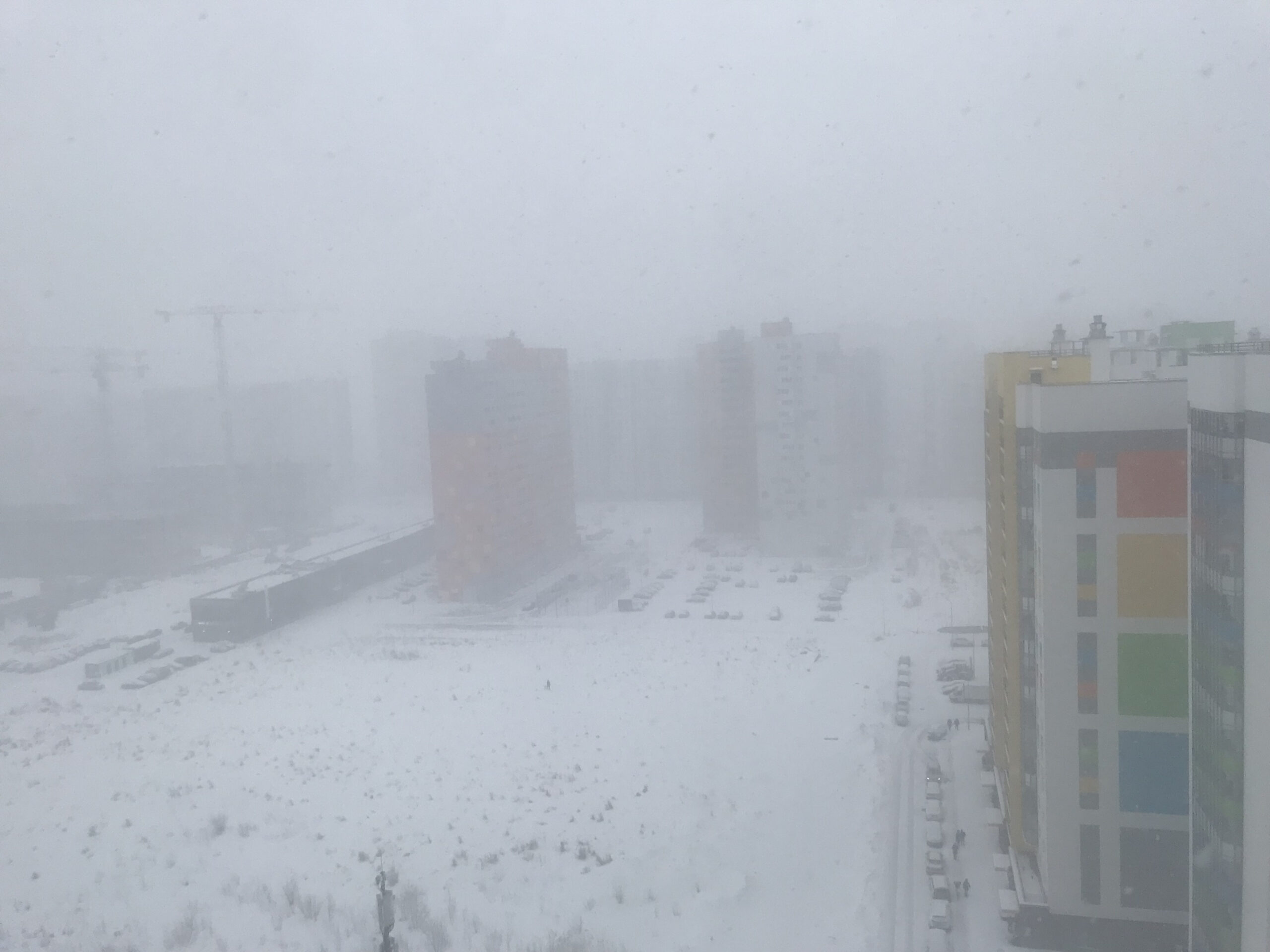 Метель в спб