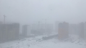Плохую погоду в Петербурге продлили до понедельника