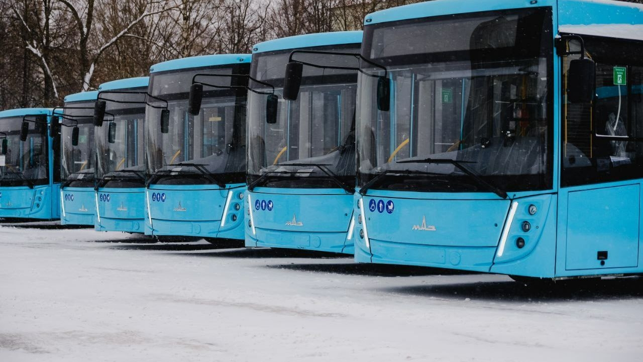 Эксперт объяснил, как «лазурные» автобусы меняют цвет из-за петербургской погоды