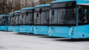 В Петербурге случился конфликт пассажира и водителя автобуса