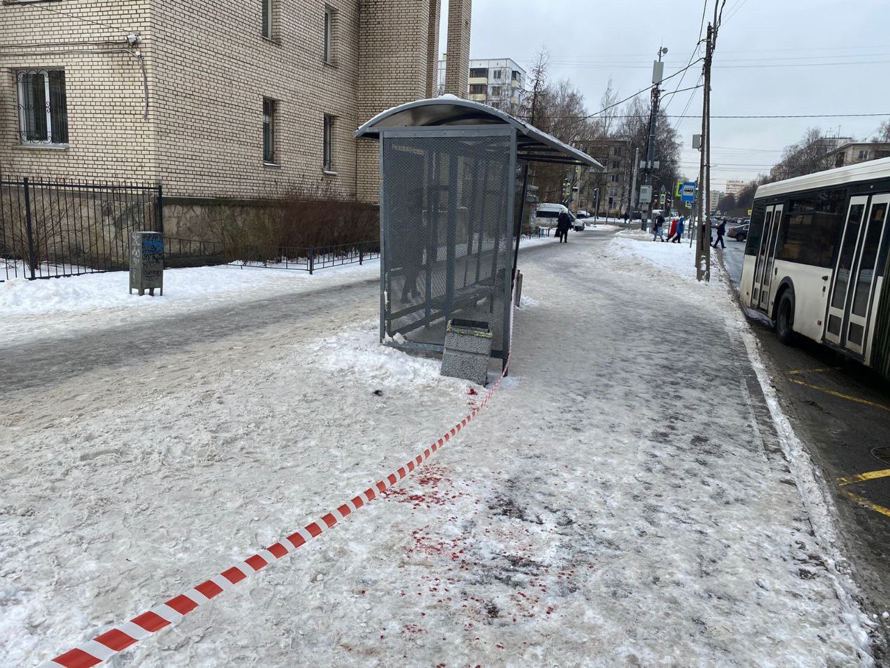 Жертвами душевнобольного петербуржца на остановке «Светлановский проспект»  мог стать кто угодно