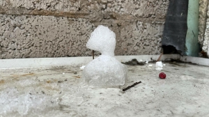 Петербуржцы в печали: снеговики массово покидают город