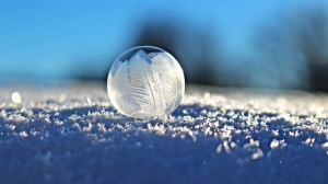 Игра в снежки закончилась для юного петербуржца прилетевшим в голову куском льда