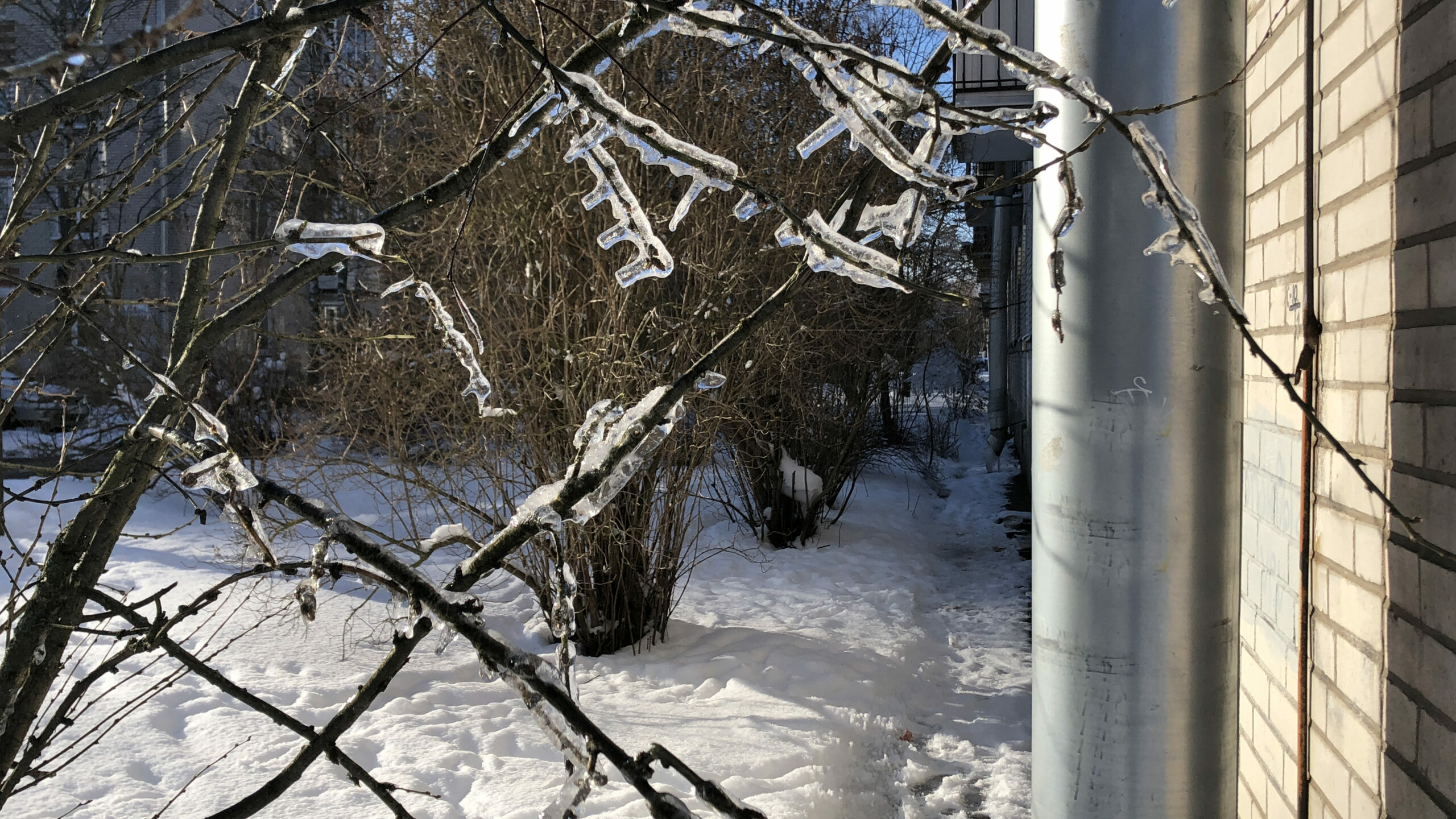 Весна пришла: в выходные в Петербурге ожидаются морозы до -19 градусов, «желтый» уровень погодной опасности и страшный гололед