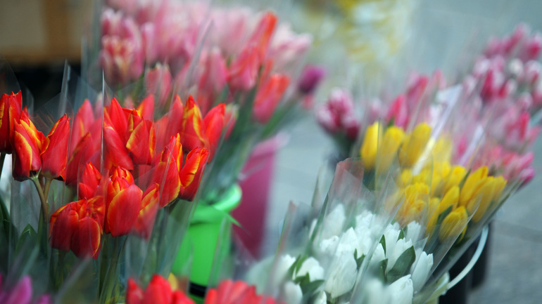 В цветочные магазины Петербурга привезли более 2 млн букетов накануне 8 марта
