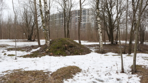 Петербургские сады и парки закрыли на неопределенный срок из-за того, что они не просыхали всю зиму