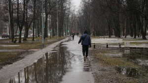 В Петербурге температура воздуха повысилась до +8 градусов