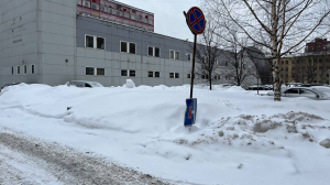 Городские службы Петербурга продолжают сваливать снег на газоны