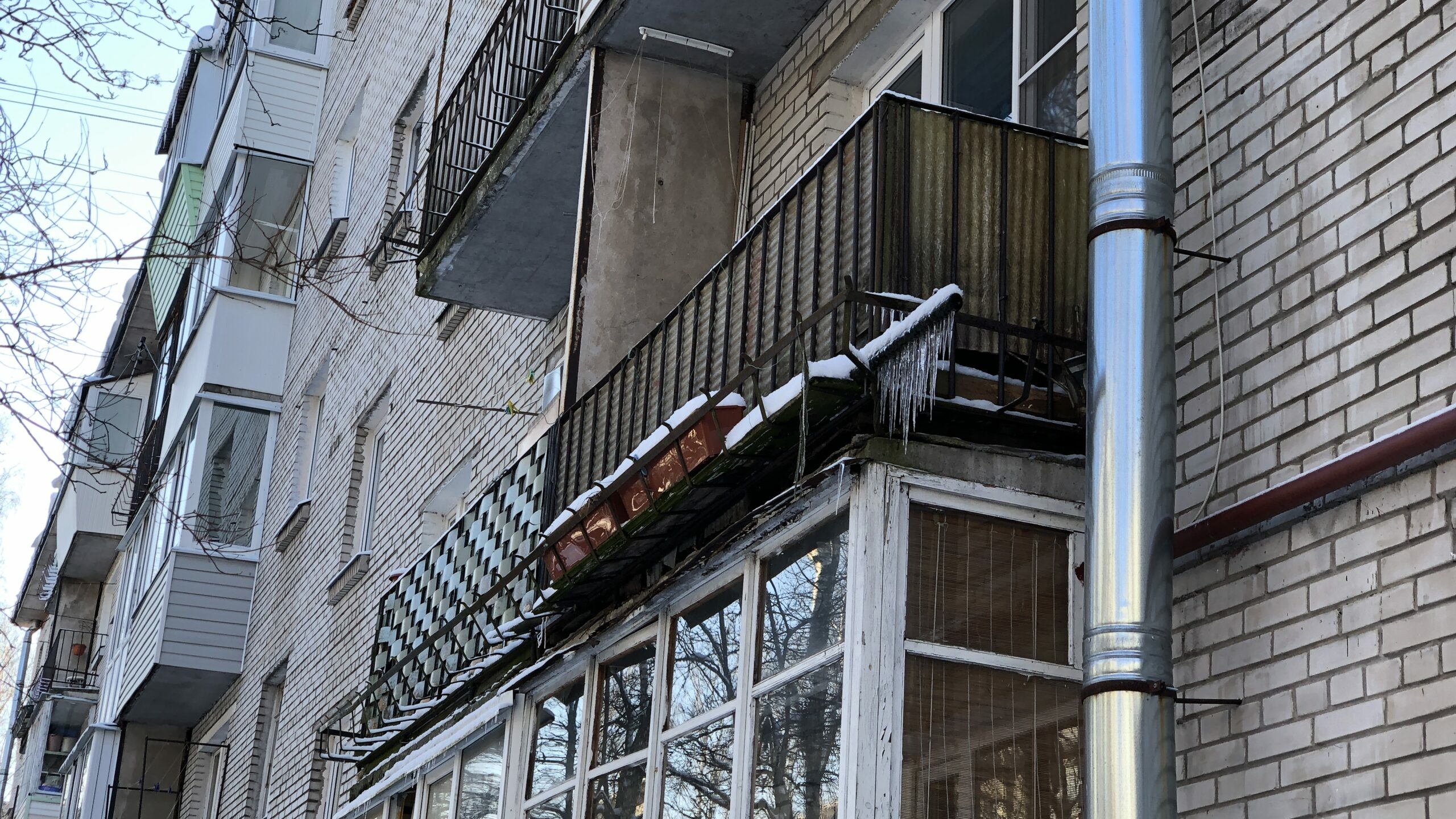 Закинул на плечо и чуть не сбросил с 10 этажа: под Петербургом двое детей спасли заведующую поликлиники