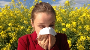 Пережить цветение: петербуржцам рассказали, как легче перенести весеннюю аллергию