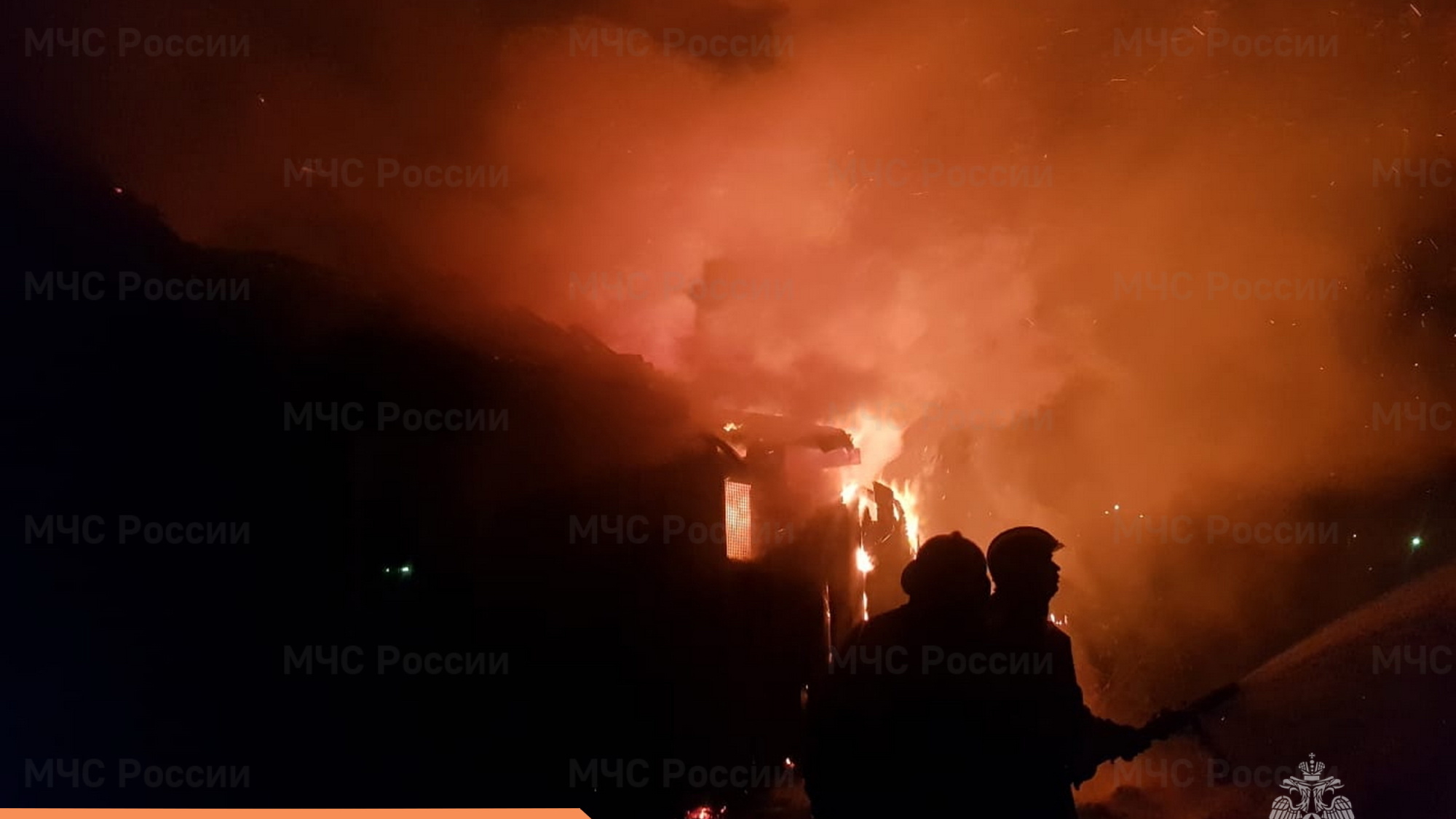 Страшный пожар: в приюте Ленобласти в огне погибли 40 кошек и 15 собак