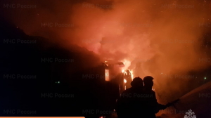 Страшный пожар: в приюте Ленобласти в огне погибли 40 кошек и 15 собак