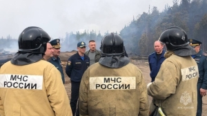 Спасатели за день ликвидировали 56 лесных пожаров по всей России