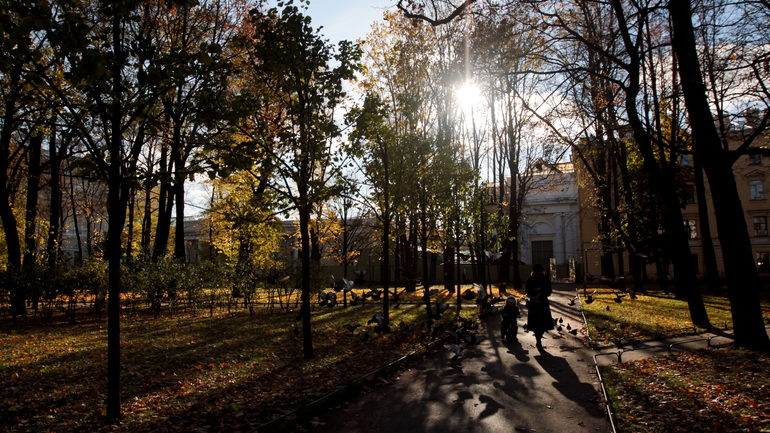 В первой декаде ноября петербуржцев ждал сюрприз: солнце появилось всего два раза за 15 дней