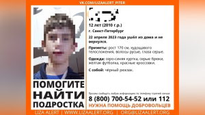 «Родители погибли»: в Петербурге ищут 12-летнего подростка, который не хочет домой