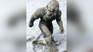 Снежный человек украл 4 миллиона из кинотеатра в Норильске