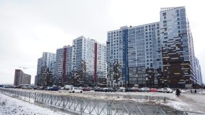 Петербургские эксперты оценили перспективы изменения спроса на жилье на намывных территориях