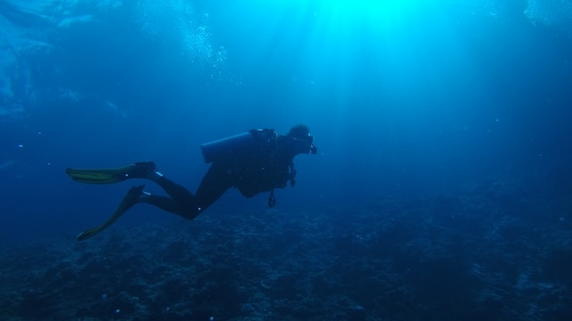 Впервые на видео сняли рыбу, обитающую на глубине более 8300 метров