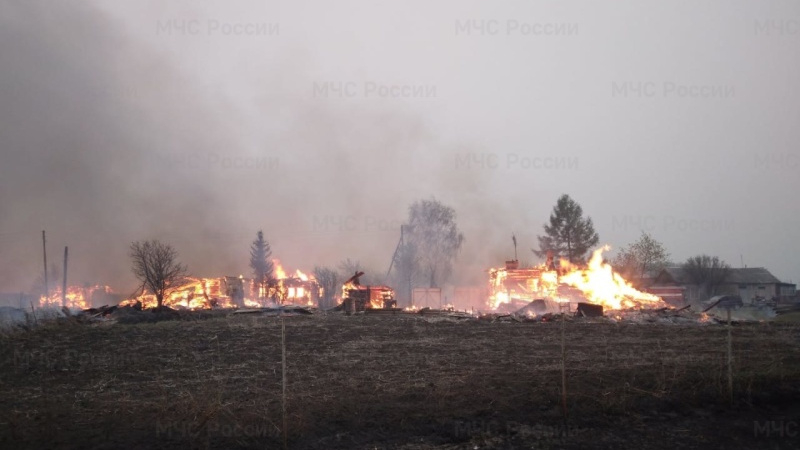 В Ленобласти полностью закрыли для посещения леса из-за угрозы пожара