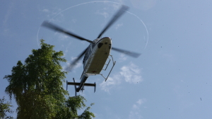В Брянской области нашли обломки разбившегося вертолета