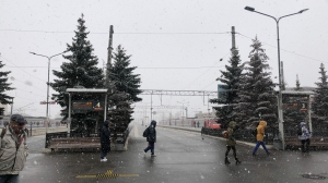 Первая майская неделя в Петербурге завершается снегопадом