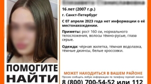 Исчезнувшую в Петербурге девочку ищут второй месяц: всего с начала года пропало 206 детей
