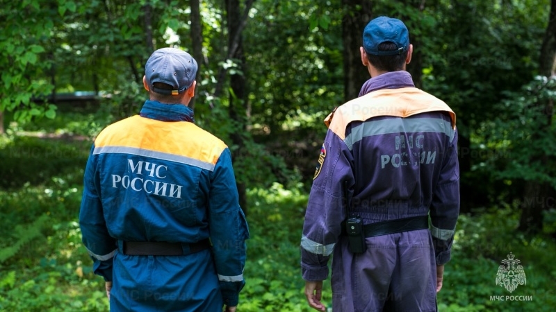 На Ямале 15 россиян сгорели в пожарах из-за поджогов