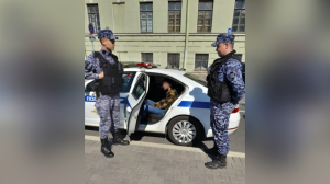 Подозреваемых в убийстве гендиректора «Монолит» на Глухарской улице задержали в синей Skoda Rapid